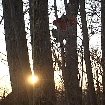 The Front Room Gallery