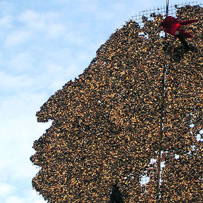 The Front Room Gallery